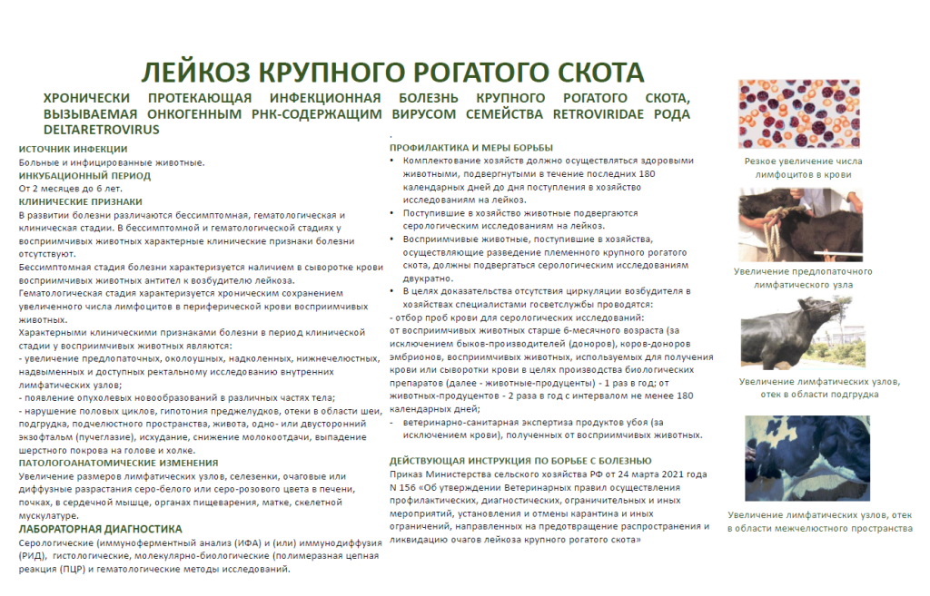 image_2024-08-01_12-43-53.png