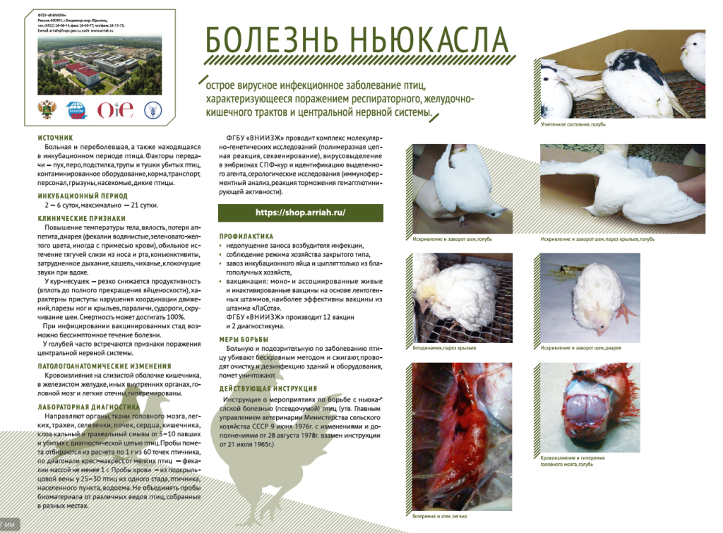 image_2024-08-01_12-45-48.png